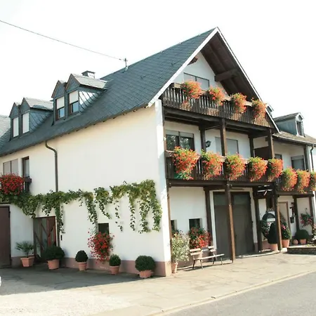 Guest house Weingut***pension Guenther Scholtes 3*